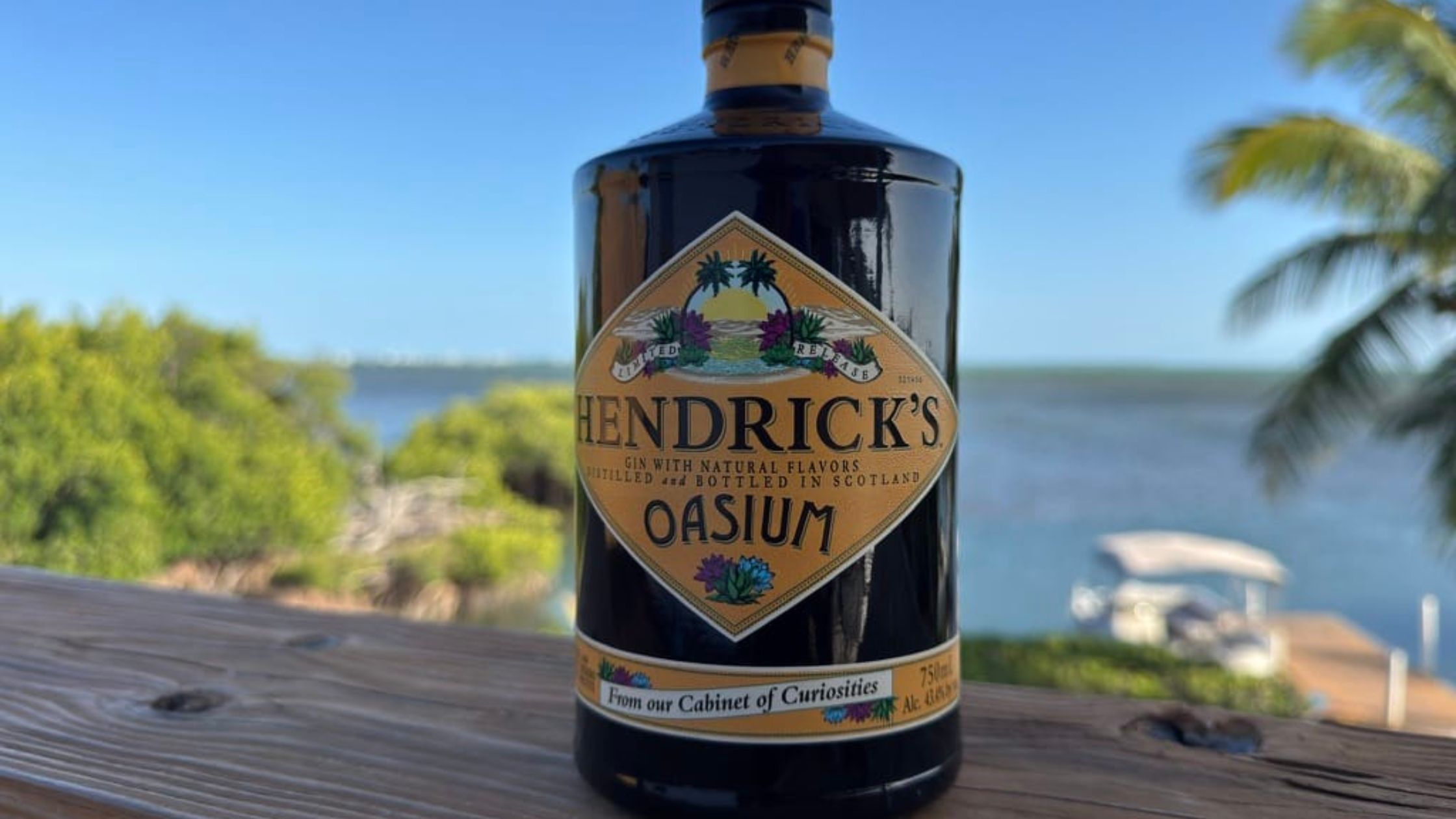 Hendrick’s Gin Brings Oasium to India